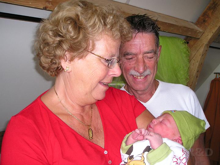 Imme 12 juli 2006 (7).JPG